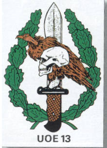 Busco antiguos integrantes del  GOE1  Ordenes militares, Especialmente a los chicos de la  13  110