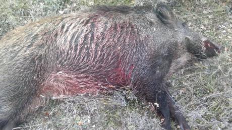 ALMUERZOS DE CAZA MENOR NO CUENTAN Y LOS ABATES SIN FOTO 

Voy a recordar las normas y asi los nuevos 140