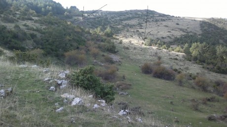 ALMUERZOS DE CAZA MENOR NO CUENTAN Y LOS ABATES SIN FOTO 

Voy a recordar las normas y asi los nuevos 10