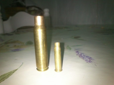 Hola chavales, he adquirido una carabina calibre 17 hmr, la Marlin xt, que os parecepara las alimañas??? 140