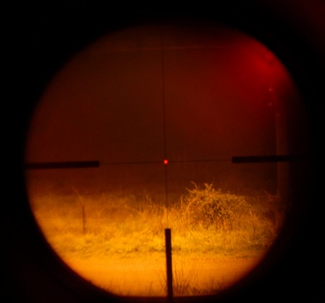 Hola amigos,

estoy detras de comprar un Bushnell Trophy XLT con reticula iluminada, pero antes de dar 51