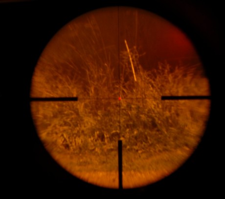 Hola amigos,

estoy detras de comprar un Bushnell Trophy XLT con reticula iluminada, pero antes de dar 50