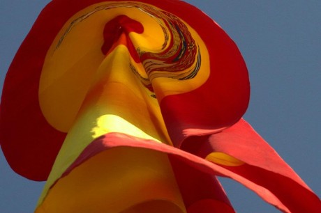 Hace tiempo preguntábamos ¿Dónde está nuestra bandera?.

PUES AQUÍ, AQUÍ, EN PALENCIA.

Cada día me siento 10