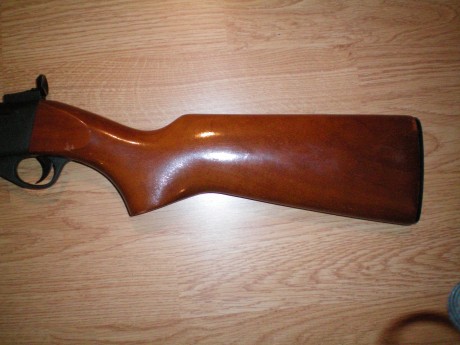 Hola, a todos, me han ofrecido una carabina anschutz con mira de precision, no he tenido nunca ninguna, 02