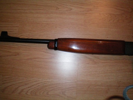Hola, a todos, me han ofrecido una carabina anschutz con mira de precision, no he tenido nunca ninguna, 01