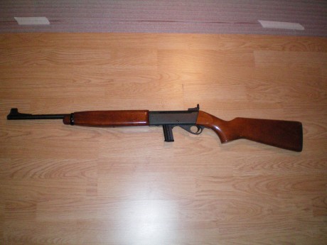 Hola, a todos, me han ofrecido una carabina anschutz con mira de precision, no he tenido nunca ninguna, 10