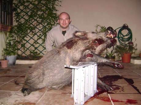 Acabo de leerlo en el periódico:
https://www.diarioinformacion.com/marina-alta/2013/11/06/abaten-jabali-135-kilos-habia/1434218.html 30
