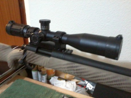 Que carril picattinny recomendais para un remintong 700 cal 308w, que valga para 100 metros y 1000 m es 160