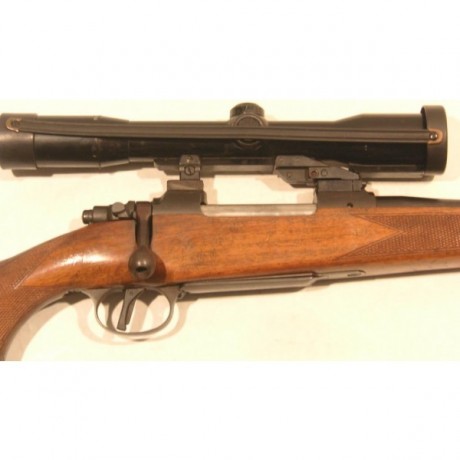 Hola a todos !

Pues eso que tengo vistos estos dos rifles
Los dos en calibre 270 y no se que ventajas 111
