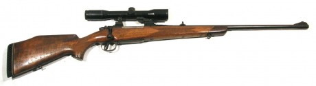 Hola a todos !

Pues eso que tengo vistos estos dos rifles
Los dos en calibre 270 y no se que ventajas 110