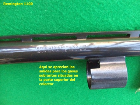 Hola, recientemente he adquirido la Remington 1100 que estaba a la venta en la Armería Navas, para mí 101