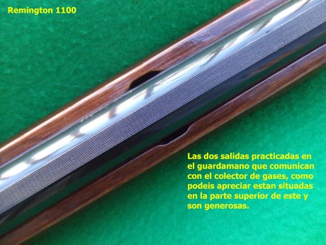 Hola, recientemente he adquirido la Remington 1100 que estaba a la venta en la Armería Navas, para mí 100