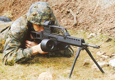 Ya sabemos que es un gran fusil pero... que le pondriais para iros a la guerra con el?

Que tipo de visores 70