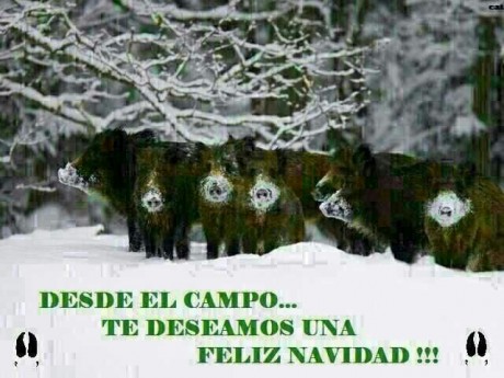 ALMUERZOS DE CAZA MENOR NO CUENTAN Y LOS ABATES SIN FOTO 

Voy a recordar las normas y asi los nuevos 30