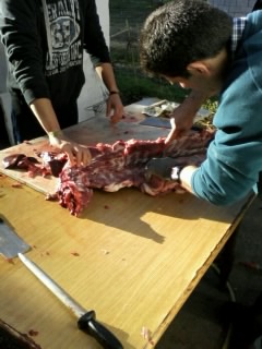 No, no me he fumado una de mis pipas :cow: 

personalmente es un espectáculo que me desagrada mucho, amén 22