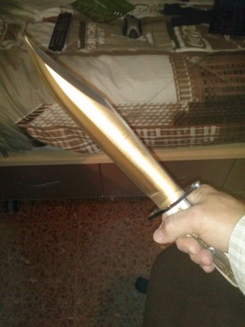 Hola me han traído los Reyes Magos , unos días antes pues son algo impacientes  :mrgreen:  un Bowie de 00