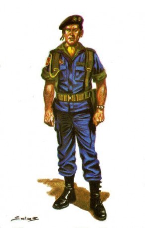 hola soy relativamente nuevo en esta pagina y soy un modesto aficionado y modesto coleccionista de militaría..he 11