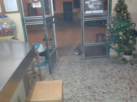 Bueno compañeros viendo que hay incondicionales para todo abro este para ver los seguidores de la caza 91