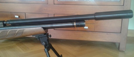 A los entendidos,como se puede silenciar aparte.de con moderador.como se puede enfundar el canon?,se puede 41
