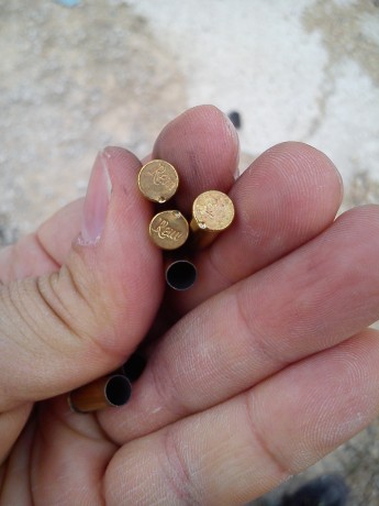 Estoy queriendo comprar una carabina del 22LR y me gusta la Remington 597, de la que he visto hablar muy 10