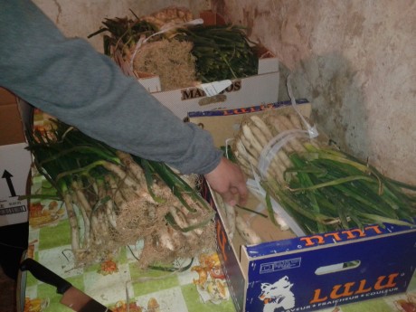 ALMUERZOS DE CAZA MENOR NO CUENTAN Y LOS ABATES SIN FOTO 

Voy a recordar las normas y asi los nuevos 170
