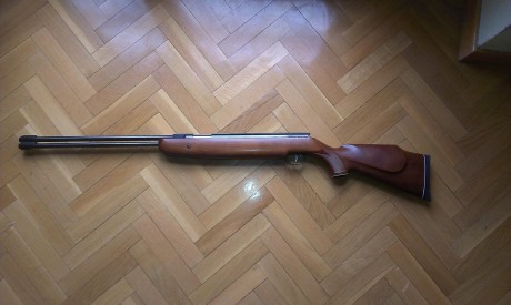 Muy buenas a todos

Tengo un dilema a la hora de escoger carabina, se que muchos preguntaron lo mismo 82