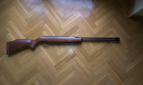 Muy buenas a todos

Tengo un dilema a la hora de escoger carabina, se que muchos preguntaron lo mismo 81