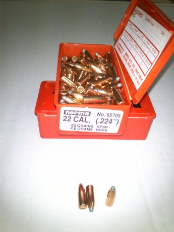 Tengo en el baúl de los recuerdos 800 puntas Norma soft point de 62 gr,

1 caja de 100 25€

5 cajas de 00