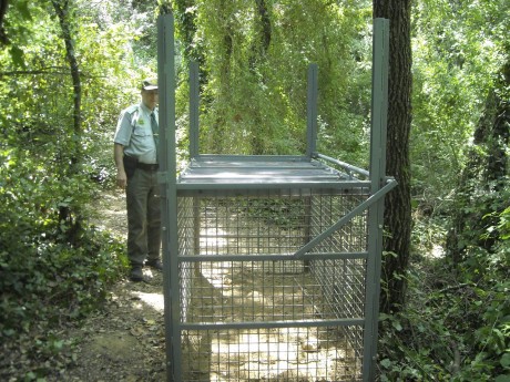 Buenas foreros.

Mirad la trampa para guarros que he encontrado en internet. Parece que es para control 160