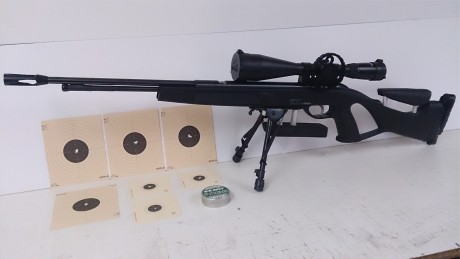 Buenas tardes compañeros he leído muchísimo sobre que los bipodes y piston no se llevan muy bien, pero 00