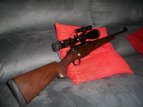 Buenas a todos estoy con la intención de comprar un rifle de los que digo. Me gustaría me dierais una 60