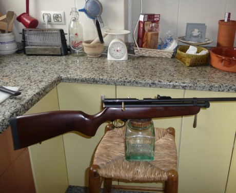 Ayer, la correa de "shadow/hunter"se enredó traidoramente con la silla, la levantó de golpe 80