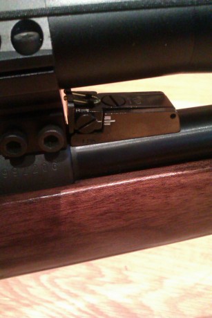 Tengo una CZ 453 con cañon varmint, que no tiene miras. Obviamente tiro con visor, pero me está entrando 32