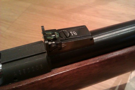 Tengo una CZ 453 con cañon varmint, que no tiene miras. Obviamente tiro con visor, pero me está entrando 30
