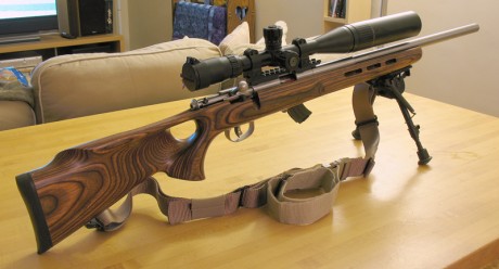 Saludos

Estoy mirando una carabina de cerrojo del .22 low cost con cañon pesado o semi (no para concursar 40