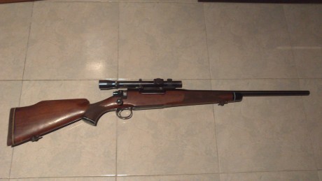 Hola, alguien sabe de cuando es este Remington, fue importdo de EE UU.

Gracias  y saludos 00
