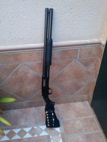 Hola me gustaría que me informarais un poco que modelo es esta escopeta le caben 8 cartuchos y es magnum 00