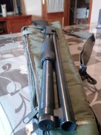 Hola me gustaría que me informarais un poco que modelo es esta escopeta le caben 8 cartuchos y es magnum 10