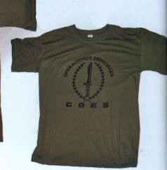 Hola amigos, estaba pensando en hacerme con alguna camiseta del Ejército, La Legión o las Coes, la intención 00