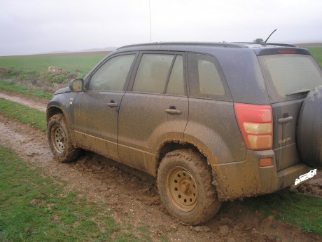 Pues eso... Todoterreno puro? Un todo camino? Una fuegonetita alta para carrilear? Yo uso un Dacia Sandero 140