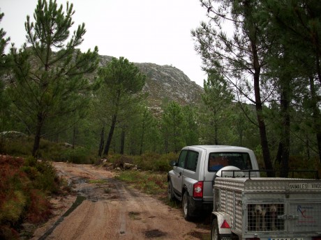 Pues eso... Todoterreno puro? Un todo camino? Una fuegonetita alta para carrilear? Yo uso un Dacia Sandero 151
