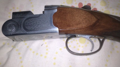 Hola compañeros,necesito vuestro consejo.
Tengo estas dos escopetas para escoger,y quisiera saber en que 22