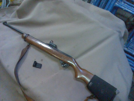 Hola a todos querria saber vuestra opinión srobre el ruger 44 magnun para ganchos en montes muy cerrados 11