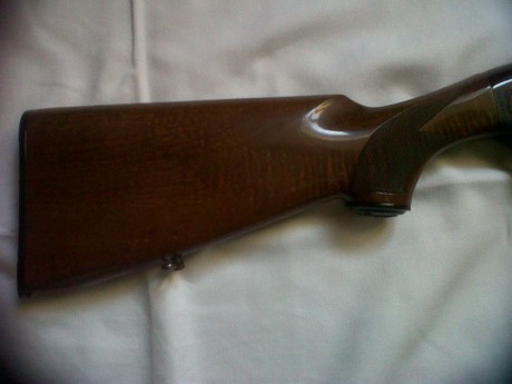 Buenas , vendo repetidora Beretta A 302 en muy buen estado con dos cañones uno de 3 estrellas (71 cm) 00