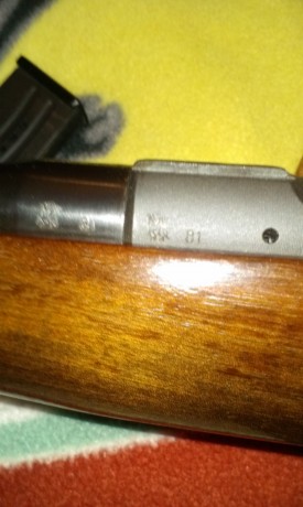 Hola!

Recientemente he adquirido una carabina Brno E2 de segunda mano (marcada 85) y me gustaría ponerle 20