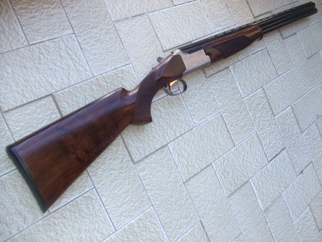 La encontré!!!!!    BROWNING ULTRA XS SPORTER PORTED (fotos al final del post)


saludos

estoy por hacerme 60