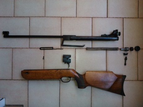 Hola, recientemente ha caído en mis manos una carabina de aire comprimido Walther LG55, he encontrado 01
