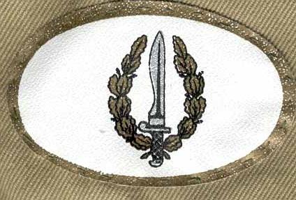 Busco antiguos integrantes del  GOE1  Ordenes militares, Especialmente a los chicos de la  13  170