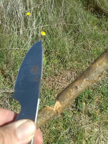 Os presento este pequeño cuchillo que a pesar de su tamaño y supuesta simpleza es de gran utilidad y tiene 30
