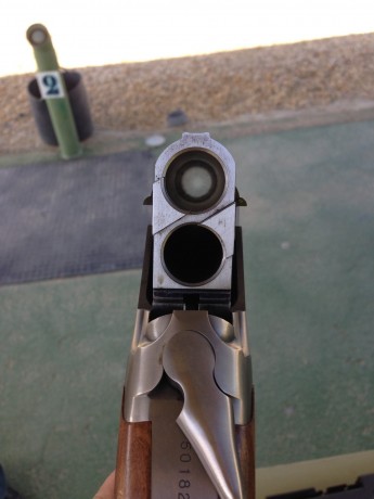 La encontré!!!!!    BROWNING ULTRA XS SPORTER PORTED (fotos al final del post)


saludos

estoy por hacerme 161